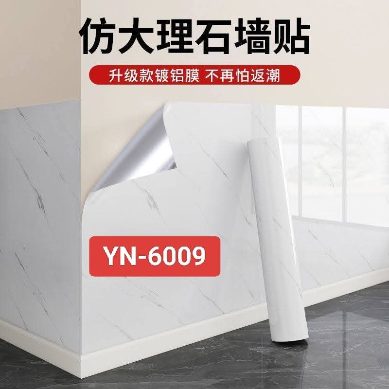 YN-6009